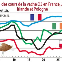 Evolution des cours de la vache O3 en France, Allemagne, Irlande et Pologne