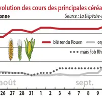 Evolution des cours des principales céréales