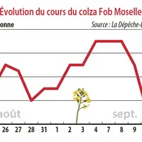 Evolution du cours du colza Fob Moselle