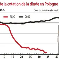 Evolution de la cotation de la dinde en Pologne