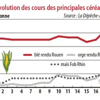 Evolution des cours des principales céréales