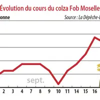 Evolution du cours du colza Fob Moselle