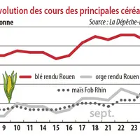 Evolution des cours des principales céréales