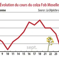 Evolution du cours du colza Fob Moselle