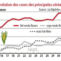 Evolution des cours des principales céréales
