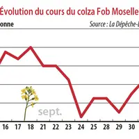 Evolution du cours du colza Fob Moselle
