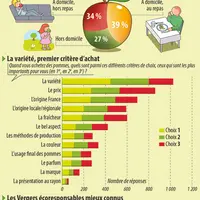 Infographie pommes