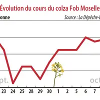 Evolution du cours du colza Fob Moselle