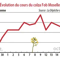 Evolution du cours du colza Fob Moselle