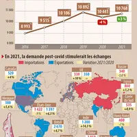 Marché mondial de la viande bovine