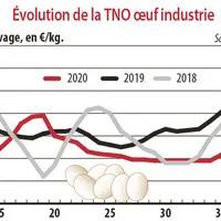Evolution de la TNO œuf industrie