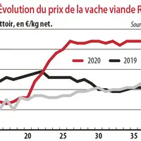 Evolution du prix de la vache viande R3