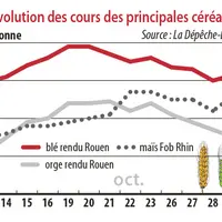 Evolution des cours des principales céréales