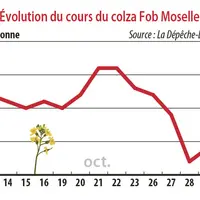 Evolution des cours du colza