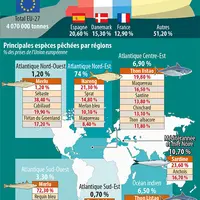 Infographie produits de la mer