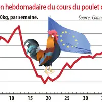 Evolution hebdomadaire du cours du poulet dans l'UE