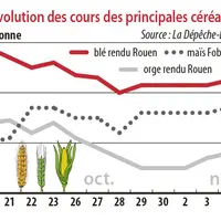 Evolution des cours des principales céréales