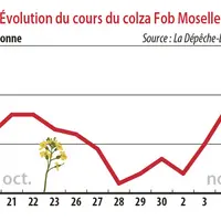 Evolution des cours du colza