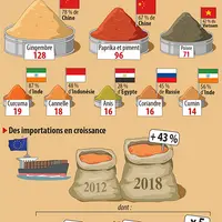 Infographie épices
