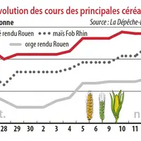 Evolution des cours des principales céréales