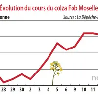 Evolution des cours du colza