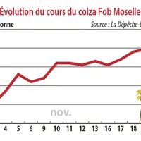 Evolution des cours du colza