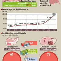 Infographie porc bio