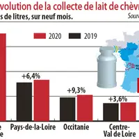 Evolution de la collecte de lait de chèvre