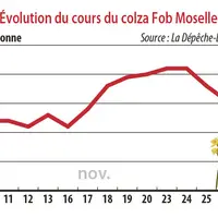 Evolution des cours du colza