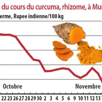 Evolution du cours du curcuma à Mumbai