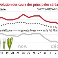 Evolution des cours des principales céréales