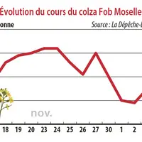 Evolution des cours du colza