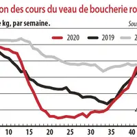 evolution des cours du veau de boucherie rosé clair O