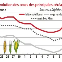 Evolution des cours des principales céréales