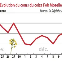 Evolution des cours du colza