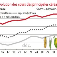 Evolution des cours des principales céréales