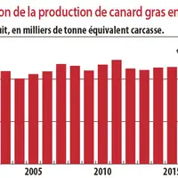 evolution de la production de canard gras en France