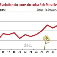 Evolution des cours du colza