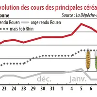 Evolution des cours des principales céréales