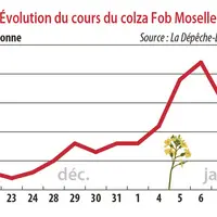 Evolution du cours du colza Fob Moselle