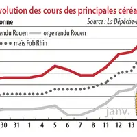 Evolution des cours des principales céréales