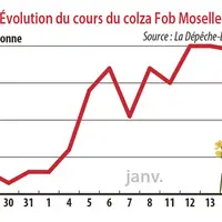 Evolution du cours du colza Fob Moselle