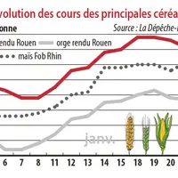 Evolution des cours des principales céréales
