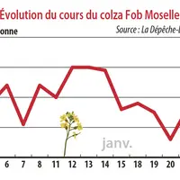 Evolution du cours du colza Fob Moselle
