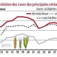 Evolution des cours des principales céréales