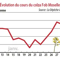 Evolution du cours du colza Fob Moselle