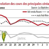 Evolution des cours des principales céréales