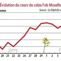Evolution des cours du colza