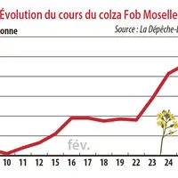Evolution du cours du colza Fob Moselle