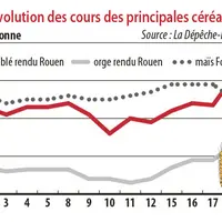 Evolution des cours des principales céréales